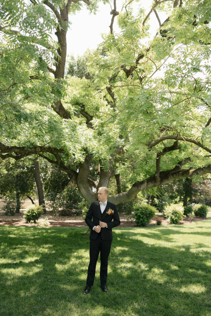 groom portraits under tree in sacramento