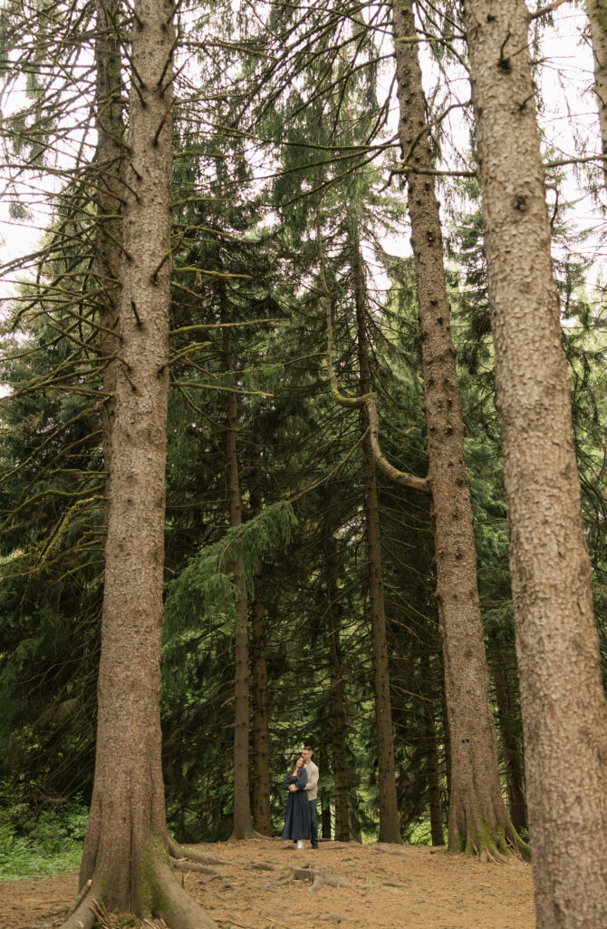 couple snuggling by towering trees