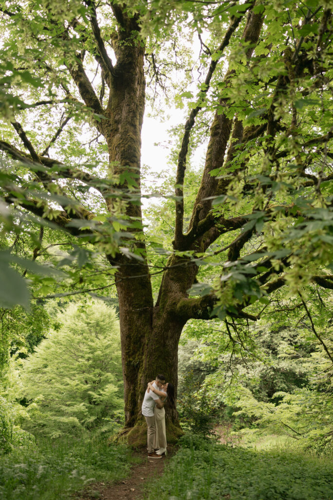 couple embrace under lush tree at hoyt arboretum portland