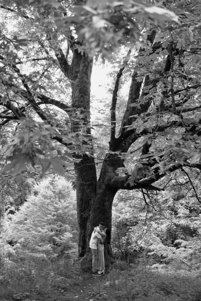 couple hug under lush tree at hoyt arboretum portland