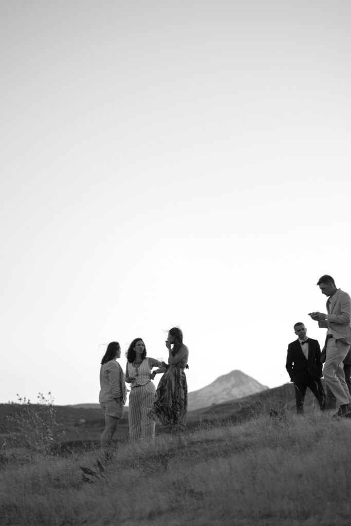 wedding guests socializing 